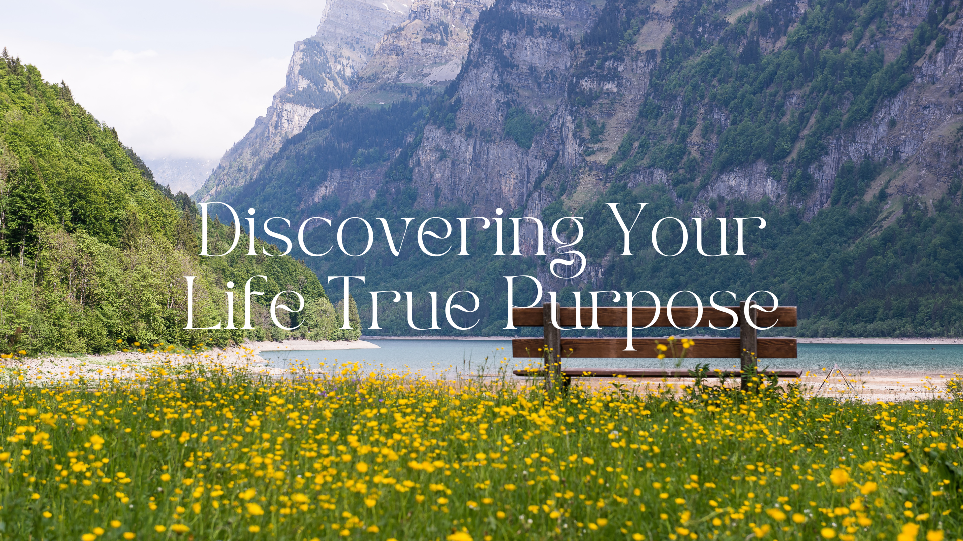 Life True Purpose